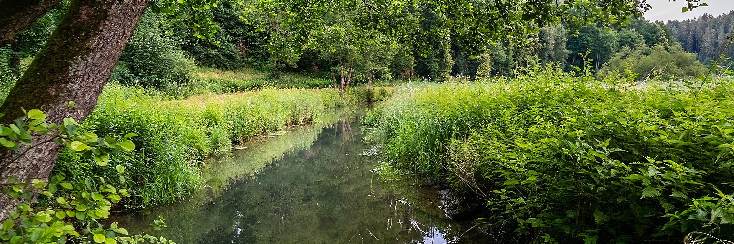 Anbieter und Angebote aus dem Regierungsbezirk Oberfranken nach Branchen